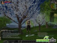 silkroad-online-cherry-blossoms.jpg
